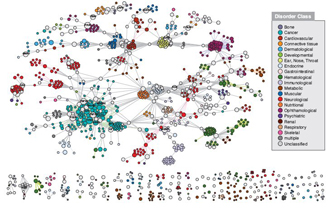 A diagram shows a disease gene network. The diagram uses many colored dots to represent genes and colored lines between dots to represent a shared link to a disease. The network is very complicated; there are several hundred dots and numerous lines connecting each dot to others. A key at right shows 22 colored dots that correspond to a disorder class. The 22 disorder classes represented in the diagram are: bone; cancer; cardiovascular; connective tissue; dermatological; developmental; ear, nose, throat; endocrine; gastrointestinal; hematological; immunological; metabolic; muscular; neurological; nutritional; ophthamological; psychiatric; renal; respiratory; and skeletal.